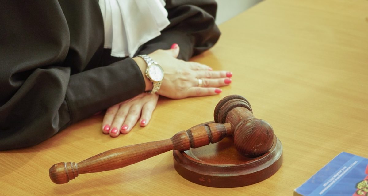 В Череповце суд отказал дачнику в приватизации участка, которым он ухаживал 20 лет
