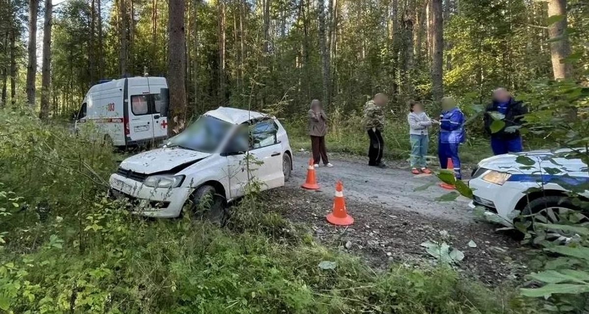 25-летний водитель и его 17-летний пассажир погибли в машине, врезавшейся в дерево под Череповцом
