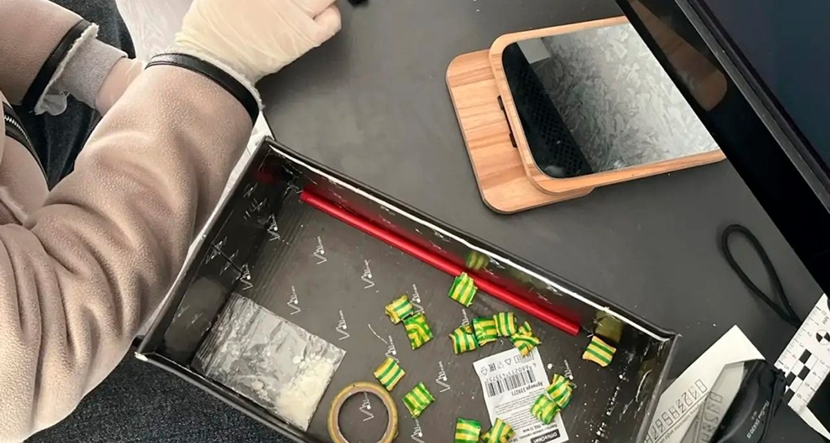 Череповчанка собиралась торговать синтетикой — у неё дома нашли 173 грамма